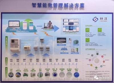 共襄盛會謀發(fā)展，林洋助力儀器儀表行業(yè)創(chuàng)新升級